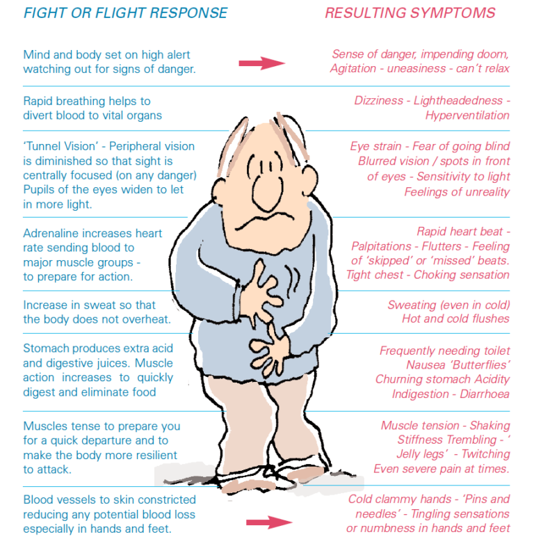 The Fight Or Flight Response Symptoms CBT4Panic